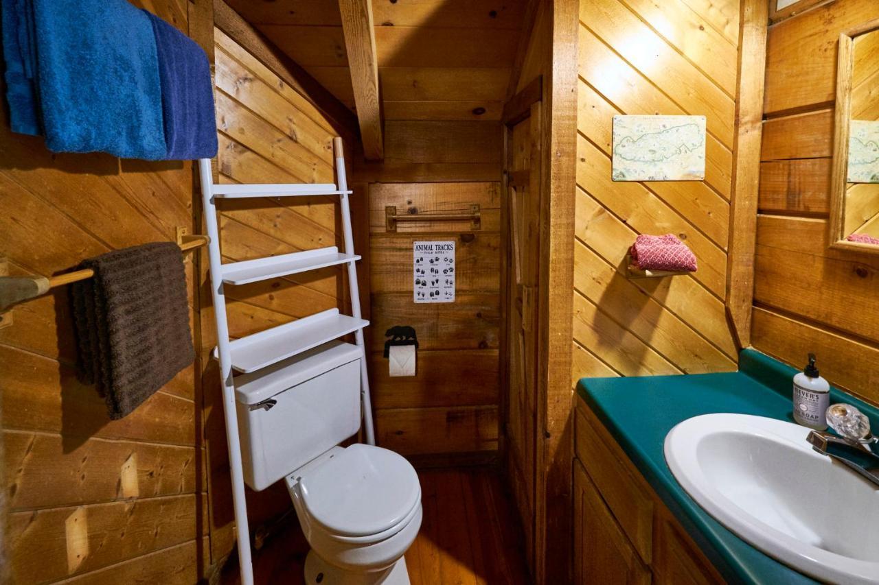 Gatlinburg Area Hottub Cabin - Ladyslipper Sevierville Ngoại thất bức ảnh
