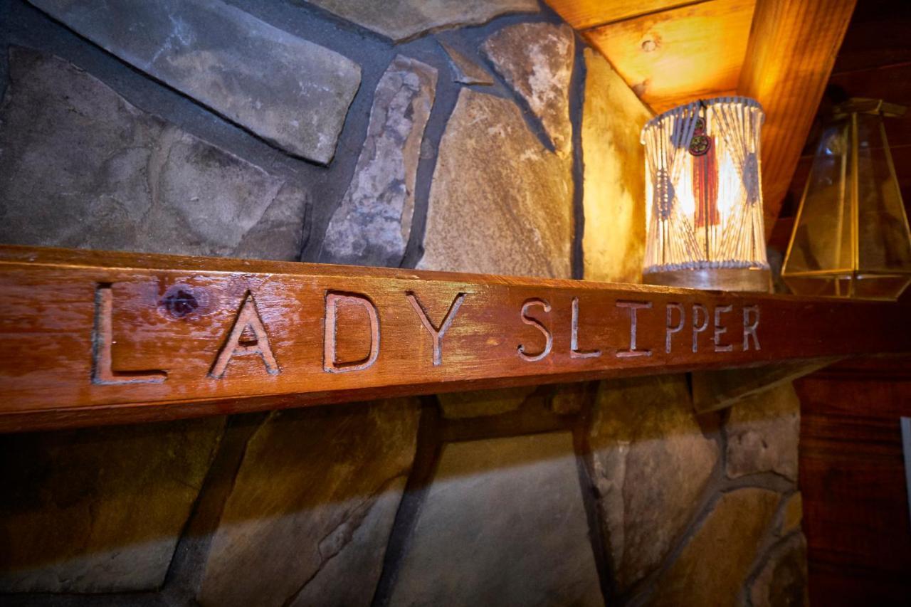 Gatlinburg Area Hottub Cabin - Ladyslipper Sevierville Ngoại thất bức ảnh